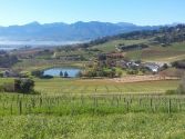 Picturesque views of the Paarl Valley